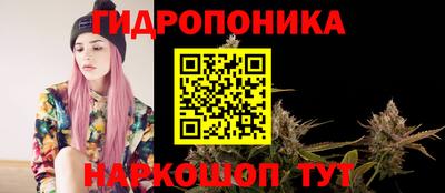 шишки Наро-Фоминск