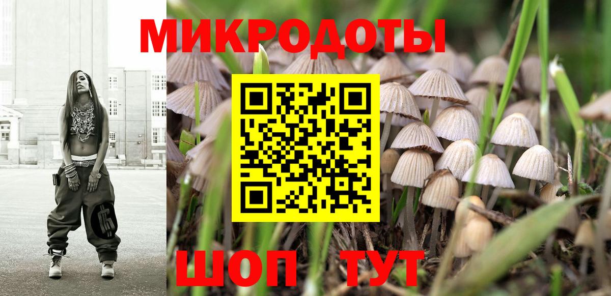 Азнакаево  Псилоцибиновые грибы Psilocybe  Вход с VPN 